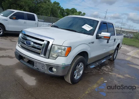 2009 Ford F-150 Fx4/King Ranch/Lariat/Platinum/Xl/Xlt from USA, damaged, VIN 1FTPW14V09FB17970